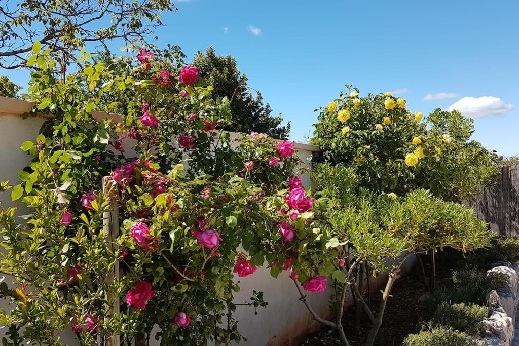 Entspannungsoase - Insel Krk Villa